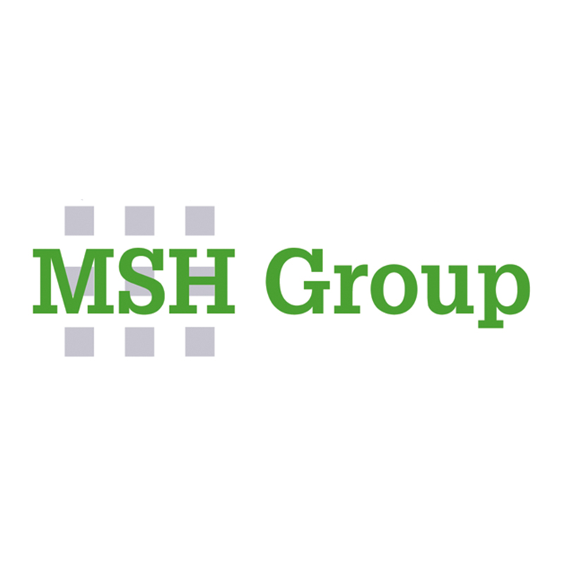 MSH Group logo